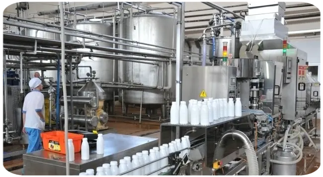 бизнес-план переработка молока