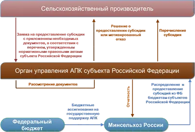 субсидирование бизнес-планов тепличного хозяйства