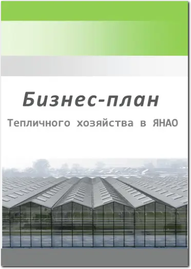 образцы бизнес-планов тепличного хозяйства 